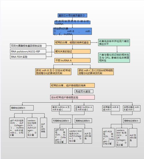 23个可编辑技术路线图模板及绘制技巧详解 聚焦国自然9大热点与北京软件技术开发实践